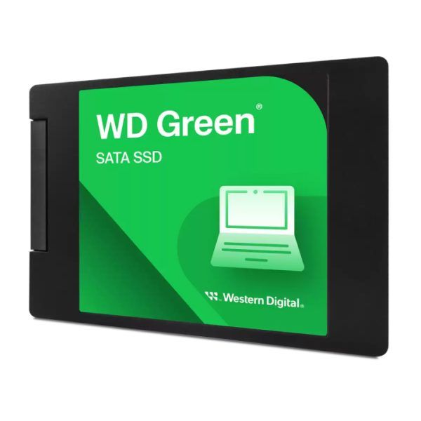 WDS100T3G0A