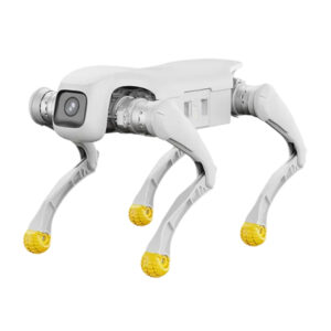 AgiBot D119