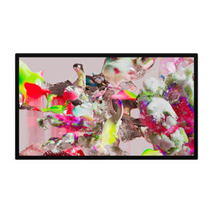 Apple Studio Display19