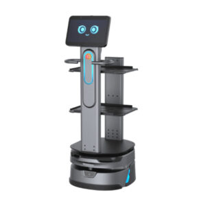 Carrybot 2 - D1503