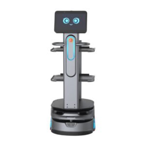 Carrybot 2 - D1504