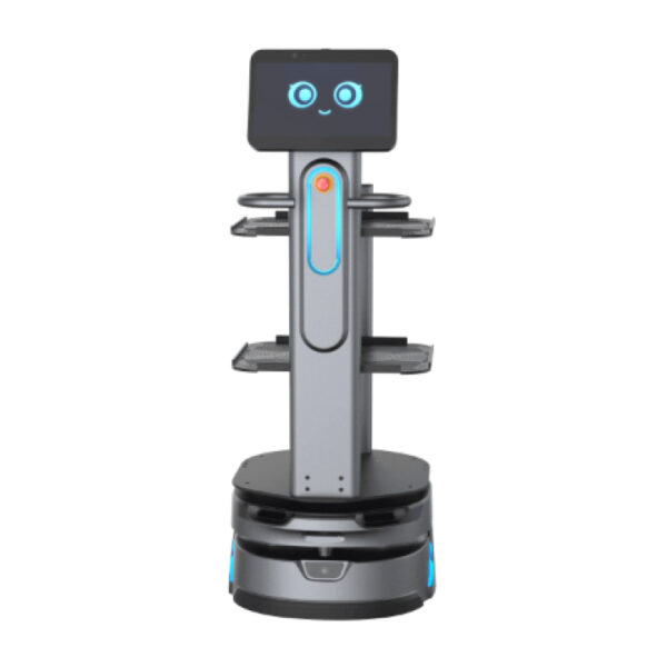 Carrybot 2 - D1504