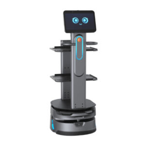 Carrybot 2 - D1505