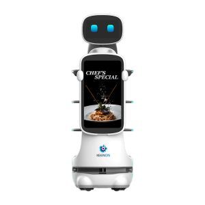 DINERBOT T102