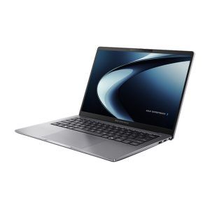ExpertBook P33