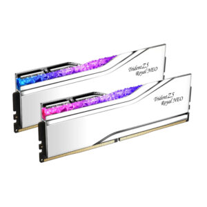 F5-8000J4048G24GX2-TR5NS10