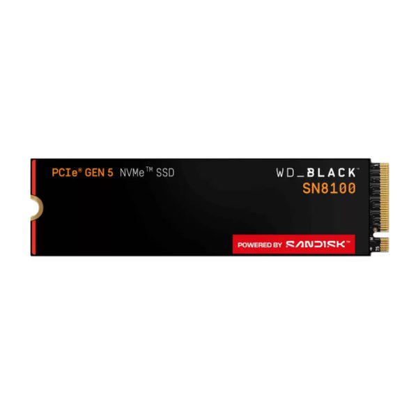 WDS400T1X0M