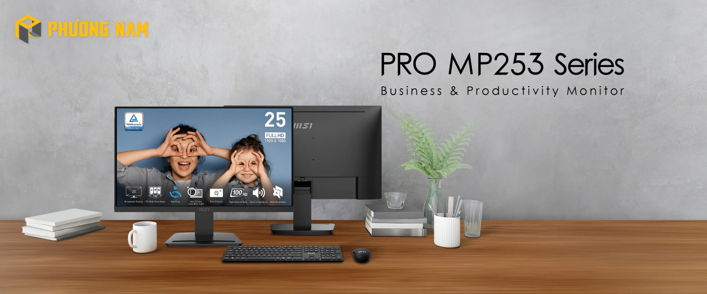 Màn Hình MSI PRO MP253 24.5″ FHD IPS 100Hz