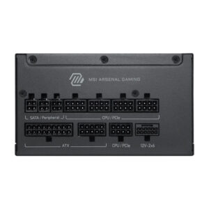 MAG A1200PLS PCIE5 (1)