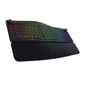 Razer Pro Type Ergo2