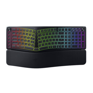 Razer Pro Type Ergo6