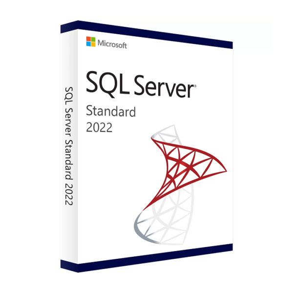 SQL Server 2022 Standard Edition2