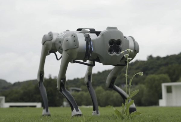 Giá Robot Dog Unitree so với Boston Dynamics (Mỹ)