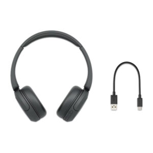 Sony WH-CH52019