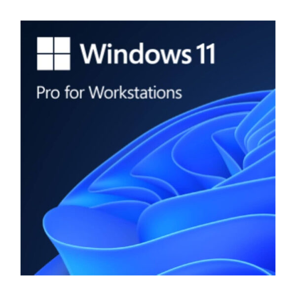 Win 11 Pro for Workstation4