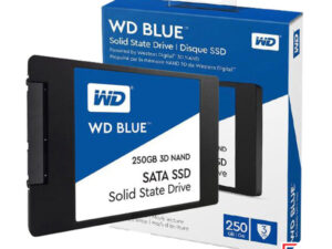 WDS250G2B0A