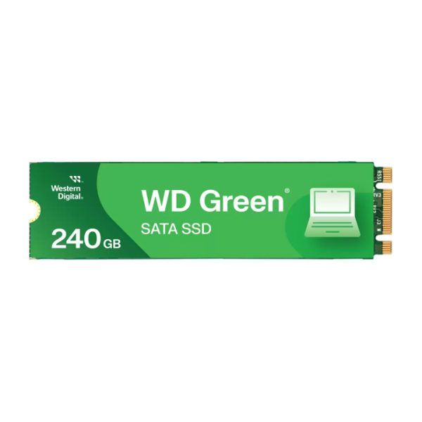 WDS240G3G0B
