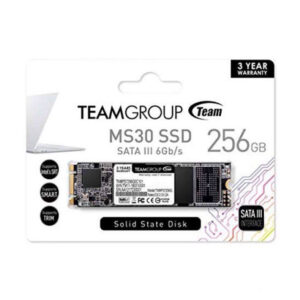 Ổ cứng SSD Team MS30 256GB M.2 SATA